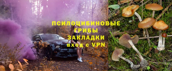 apvp Осташков