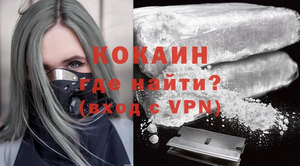 ешки Няндома