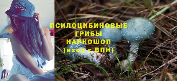 ешки Няндома