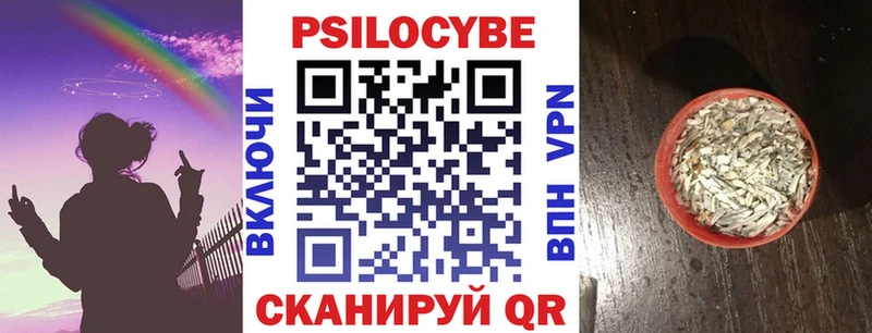 Псилоцибиновые грибы Magic Shrooms  Рубцовск 