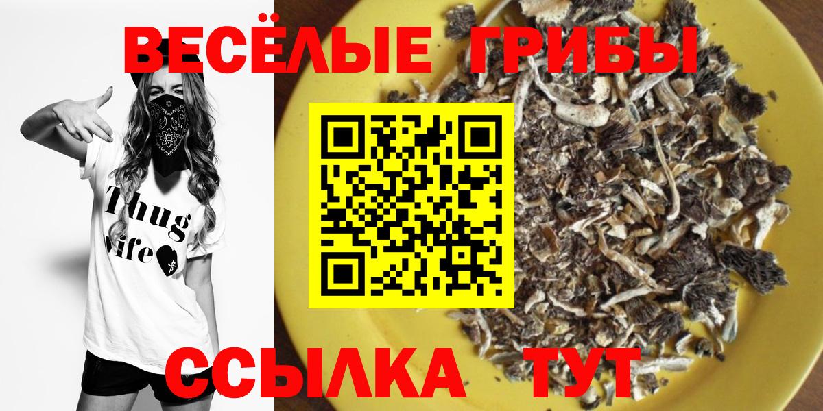 дарнет шоп  Галлюциногенные грибы ЛСД  Рубцовск  Вход с VPN  Галлюциногенные грибы MAGIC MUSHROOMS 